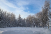 Холодно Холодно
