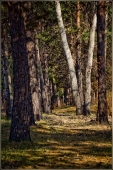 Осенняя. Осенняя.