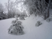 winter winter