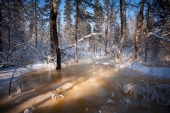Frost and ice.