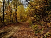 Осень