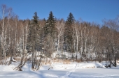 Берег р. Чиппали Берег р. Чиппали