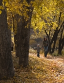 осень в парке осень в парке
