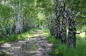 аллея мечты аллея мечты