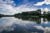 Мост Мост