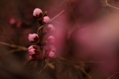 *********