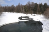 Теплеет...Весна наступает! Теплеет...Весна наступает!