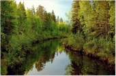 Реченька