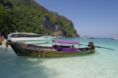 The Monkey Island The Monkey Island