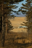 В просвет... В просвет...