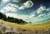 o. samui