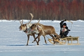 Заезд II