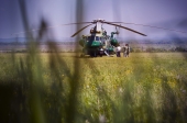 В траве аэродрома
