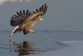 Над водой Над водой