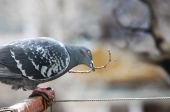 весенний субботник весенний субботник