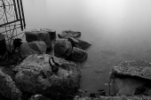 Сделаем из воды кисель