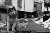 заходите в гости... заходите в гости...