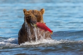 Из под воды