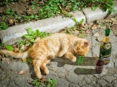 Пятница