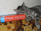 Не осилил