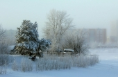 Городские окраины