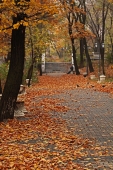 осень в городе осень в городе