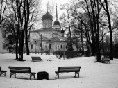в старом парке в старом парке