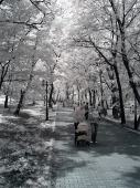 Прогулки Прогулки