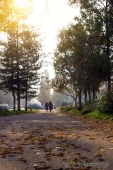 Осень Осень