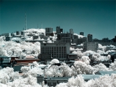 Полдень Полдень