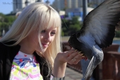 Покорительница голубей