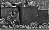 друг или ужин....??? друг или ужин....???