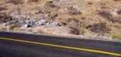 por carretera