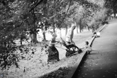 Помощь :)