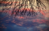 - L&Sky -