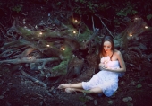 forest mystery forest mystery