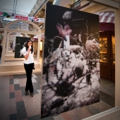в рамках Фотобиенале 2010 в рамках Фотобиенале 2010