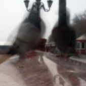 Двое Двое