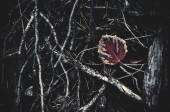 Dark Fall Dark Fall