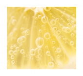 Bubble