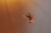 soft and light soft and light